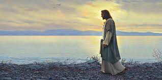 Image result for images jesus walk with peter on the shore