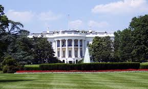 We did not find results for: The White House Frog Pond Making America Fun Again Gallagher Smash