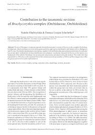 Image result for Brachycorythis velutina