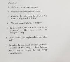Review and cite plant cell protocol, troubleshooting and other methodology information hypothetical scenario : Exercise Plasmolysis In Plant Cells Move To An Area Chegg Com
