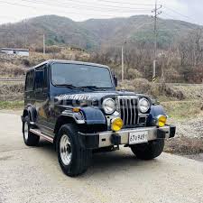 Image result for Porcelain White 1994 SsangYong