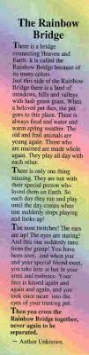 So if you do not see your pet they could be on the next one so please keep watching out for. Rainbow Bridge Poem Rainbow Bridge I Love Dogs
