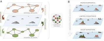 Andrea Ceballos uncensored