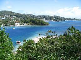 I found you in the bathtub with your young lover, i'm begging you please to wake up young lover, i wish that i was your drug young. View From The Top Of The Island Young Island Cut Picture Of Young Island Resort St Vincent Tripadvisor