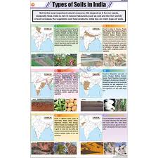 Types Of Soils In India Chart 58x90cm
