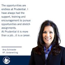 Financial advisers provide clients with specialist advice on how to manage their money. Daniel Hermansson Vice President Strategy Individual Life Insurance Prudential Financial Linkedin