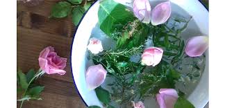 Lavanda, glicine, iperico, rosa, ibiscus, passiflora,papavero, bocca di leone, achillea, nasturzio, sulla, elicrisio, sambuco, trifoglio, caprifoglio, camomilla, malva. Acqua Di San Giovanni S Acua De Froris Sardegna Sasbellasmariposas Com
