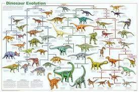 laminated dinosaur evolution educational science chart poster 24x36