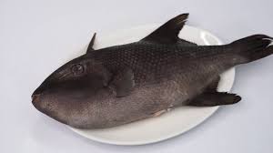 Lezat Ikan Ayam Ayaman Bakar Youtube