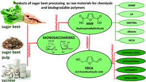 Much is known about sugar so there's no need to dive into the finer details. Products Of Sugar Beet Processing As Raw Materials For Chemicals And Biodegradable Polymers Rsc Advances Rsc Publishing
