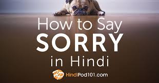 How To Say Sorry In Hindi how to say sorry in hindi