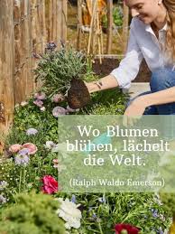 Von Lustig Bis Poetisch Die Schonsten Blumen Spruche Westwing