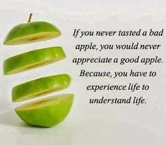 30 Wise Quotes About Life Experiences Stylebizz Bad Apple Quote Bad Apple Bad Life