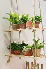 Purple Area Hanging Plants Plant Shelves Plants