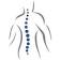 Progressive Spine and Orthopaedics LLC logo