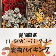 アンナサッカ東京 11 5火曜日より 4階店頭にて実物バイキング開催します 11月9日土曜日までです 是非ご来店ください アンナサッカ東京 実物 自然素材 ゴールド ナチュラル多め 4階 松かさ多め