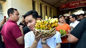 Pisang nugget kaesang tidak hanya berdiri di satu tempat saja melainkan pisang nugget ini sudah berdiri di beberapa kota besar. Jokowi Kaesang Senang Dibully Untuk Naikkan Branding Pisang Goreng