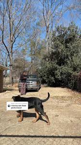 Lord These Chilrennns