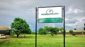 May 31, 2021 · while no cases were recorded in january, two were recorded in february, five in march, 10 in april and 12 in may, it said. It S Always Buzzing In Mosquito City Bill Gates