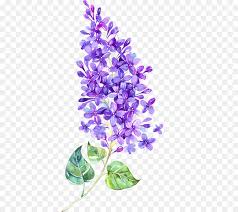 Purple flower bouquets give an exceptional, rich outline to each room in which they are put and are an interesting way to stamp the enormity of an occasion. Bouquet Of Flowers Drawing