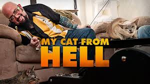 Cats — o filme 2019″ filmes.completo *dublado*. Watch My Cat From Hell Season 1 Prime Video