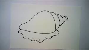 This is an easy pencil sketch drawing! How To Draw Conch How To Draw Conch Easy Step By Step Youtube