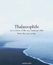 Thalassophile Noun A Lover Of The Sea Someone Who Loves The Sea Ocean Word Definition Weird Words Unusual Words Uncommon Words