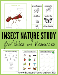 By connecting the dots, number by number, a picture forms before your very eyes. Insect Nature Study Printables Learning About Bugs
