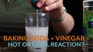 Homemade coffee machine descaler products of photosynthesis quizlet. Vinegar And Baking Soda Reaction Heat Up Or Cool Down Youtube
