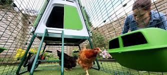 Australian poultry forum & information centre. Chicken Coops In Australia Chickens In Australia Chickens Guide Omlet Australia
