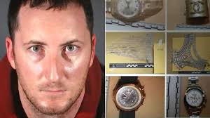 LAPD arrests suspect in series of burglaries targeting celebrities in  Hollywood Hills