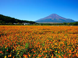 At national today, we love celebrating 188 september holidays. Top 10 Things To Do In Japan In September Japan Web Magazine