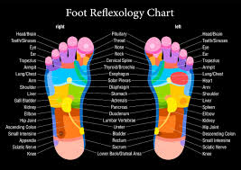 71 organized ear reflexology chart download