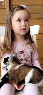 GOAT CUDDLE UPDATE** Due to overwhelming demand, we're delighted to  announce we've managed to persuade Steve to run our Goat cuddles again next  week! These will be running Monday-Friday 10am-11am next week