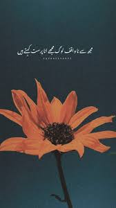 Ana Parast In 2020 Best Urdu Poetry Images One Line Quotes Poetry Quotes In Urdu