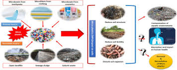 Nine samples were placed into A Review Of Microplastics Pollution In The Soil And Terrestrial Ecosystems A Global And Bangladesh Perspective Sciencedirect
