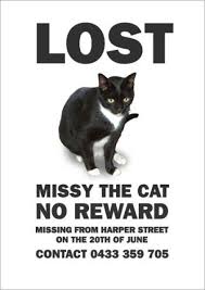 You need to update your card! Lost Cat Poster Template Free Archives Cat And Dog Lovers