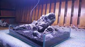 Hardscape Iwagumi Style Aquascape Terrarium Paludarium Vivarium Vivarium Terrarium