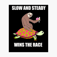 Slow and Steady Wins the Race Shirts and More