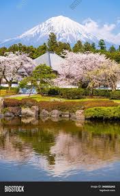 Fujinomiya Shizuoka Image Photo Free Trial Bigstock