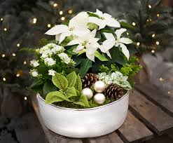 Quick & easy checkout · fresh from the fields · great quality & value Jaantje Wagter Avas Flowers Billings Mt The 8 Options For The Best Flower Delivery In Billings Mt 2021 They Are A Total Scam