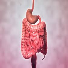 Crohn hastalığı gastointestinal sistemi yemek borusu, mide, incebağırsak ve kalınbağırsakta bir veya birkaç bölümde tutabilen bir kronik, inflamatuar bağırsak hastalığıdır. Crohn Kadin Hastaliklari