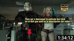Ver Pelicula De Harley Quinn Y Joker Completa En Español Latino Pin En Escuadron