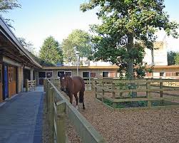 Ebony Horse Club London Horse Paddock Dream Horse Barns Horse Barns