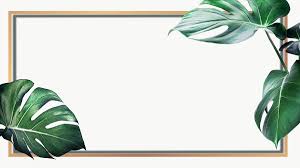 68 transparent png illustrations and cipart matching daun. Rectangle Golden Monstera Frame Design Resource Free Image By Rawpixel Com Aum Frame Design Daun Aestethic Wallpaper Botanical Frame