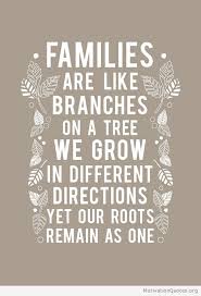 Quotes About Family With Images In 2020 Photo Book Quotes Family Quotes Cousin Quotes