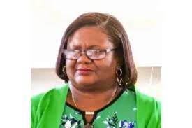 NEMO to hire team to constantly monitor La Soufriere