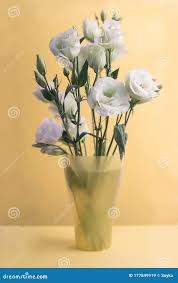 Image result for eustoma lisianthus in vase