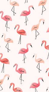 Flamingos Iphone Wallpaper August Wallpaper Cute Wallpapers Iphone Background