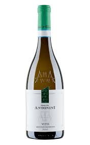 Image result for Passerina